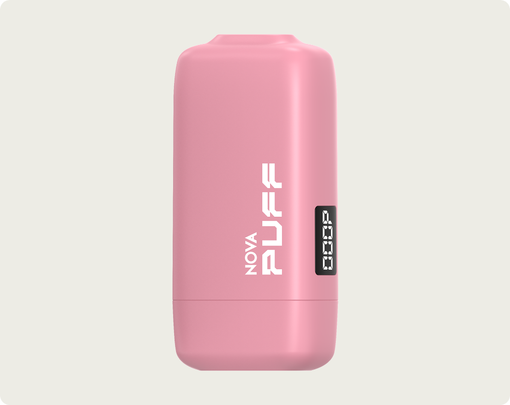 nova vape Aku Vap Za Pranje Vozila Aku Vap za Pranje Vozila sa Dvije 88V Litijum  Baterije – Extra main image 1